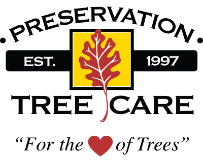 Tree Services | Tree Care | Preservation Tree Care Denver
